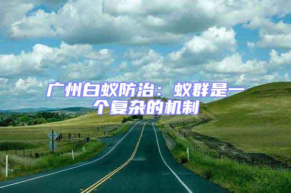 廣州白蟻防治:蟻群是一個復雜的機制