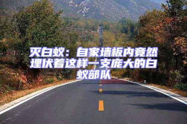 滅白蟻：自家墻板內(nèi)竟然埋伏著這樣一支龐大的白蟻部隊