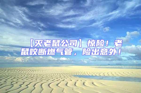 【滅老鼠公司】驚險！老鼠咬斷燃氣管，險出意外！