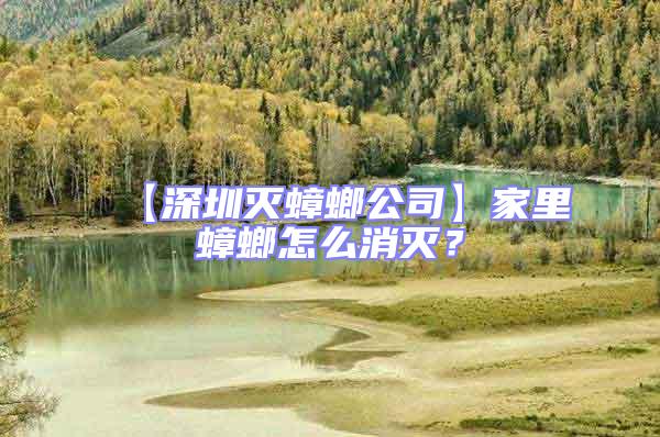 【深圳滅蟑螂公司】家里蟑螂怎么消滅?