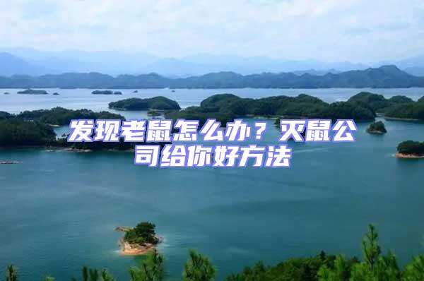 發(fā)現(xiàn)老鼠怎么辦?滅鼠公司給你好方法