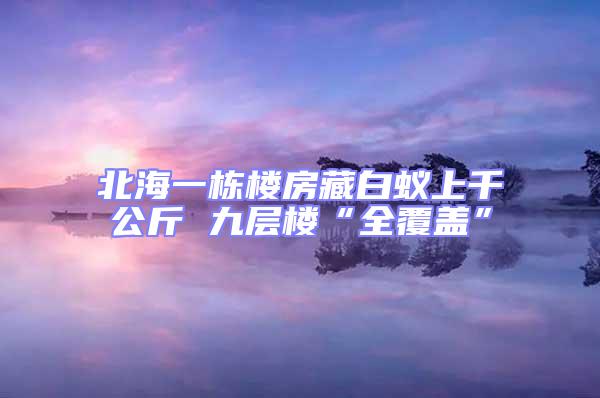 北海一棟樓房藏白蟻上千公斤 九層樓“全覆蓋”