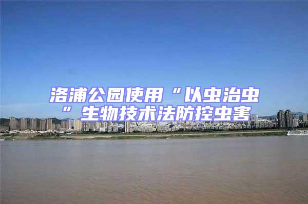 洛浦公園使用“以蟲(chóng)治蟲(chóng)”生物技術(shù)法防控蟲(chóng)害