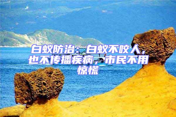 白蟻防治：白蟻不咬人，也不傳播疾病，市民不用驚慌