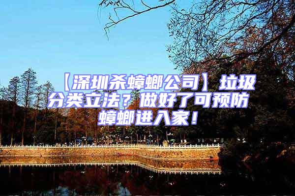 【深圳殺蟑螂公司】垃圾分類立法?做好了可預(yù)防蟑螂進入家!