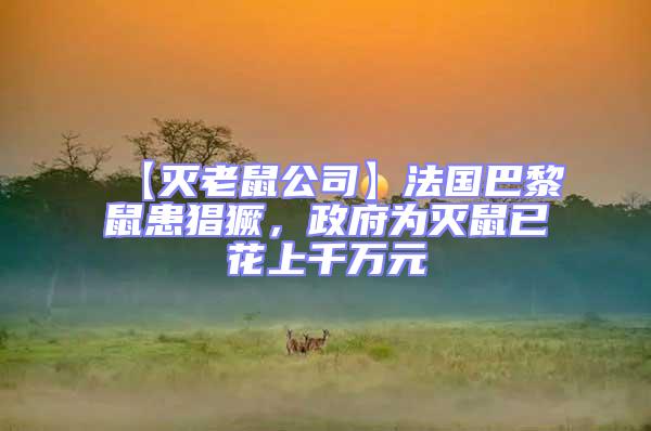 【滅老鼠公司】法國巴黎鼠患猖獗,政府為滅鼠已花上千萬元