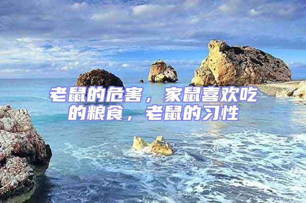 老鼠的危害,家鼠喜歡吃的糧食,老鼠的習(xí)性