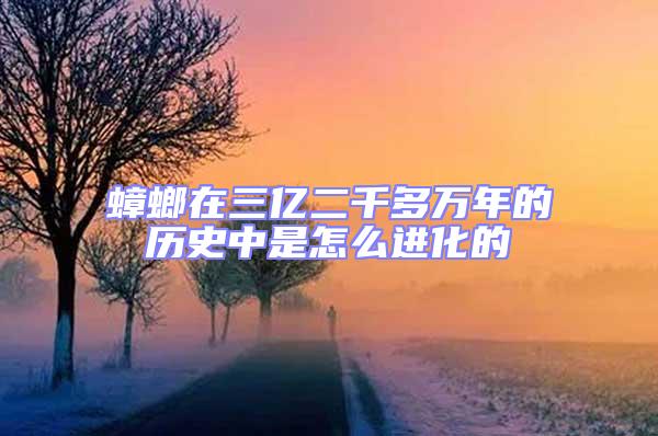 蟑螂在三億二千多萬年的歷史中是怎么進化的