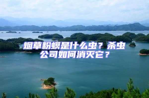 煙草粉螟是什么蟲?殺蟲公司如何消滅它?