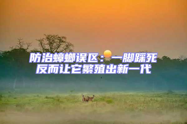 防治蟑螂誤區:一腳踩死反而讓它繁殖出新一代