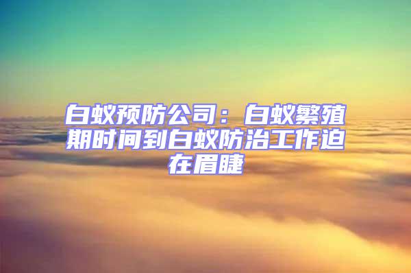 白蟻預(yù)防公司:白蟻繁殖期時間到白蟻防治工作迫在眉睫