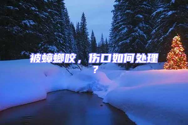 被蟑螂咬,傷口如何處理?