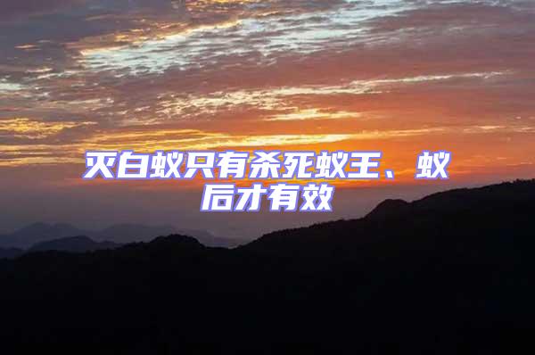滅白蟻只有殺死蟻王、蟻后才有效