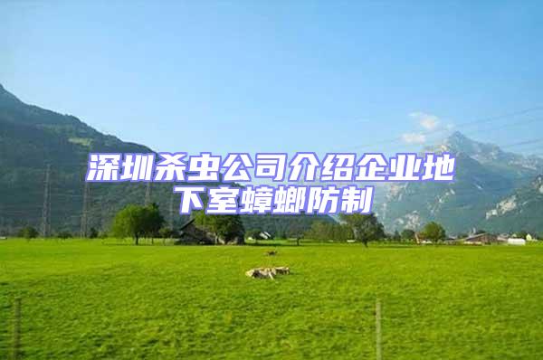 深圳殺蟲公司介紹企業地下室蟑螂防制