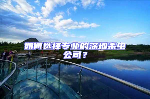 如何選擇專業的深圳殺蟲公司?