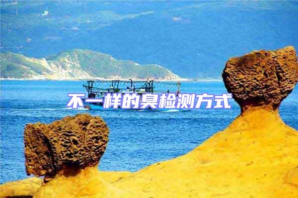 不一樣的臭檢測(cè)方式