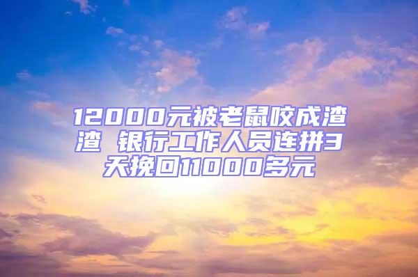 12000元被老鼠咬成渣渣 銀行工作人員連拼3天挽回11000多元