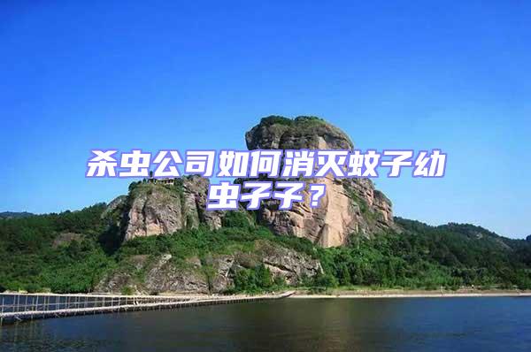 殺蟲公司如何消滅蚊子幼蟲孑孓?