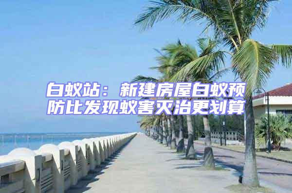 白蟻站:新建房屋白蟻預防比發(fā)現蟻害滅治更劃算