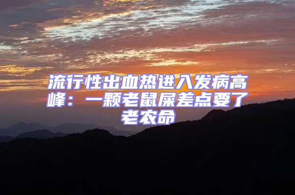 流行性出血熱進入發(fā)病高峰:一顆老鼠屎差點要了老農命