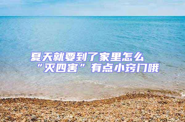 夏天就要到了家里怎么“滅四害”有點小竅門哦