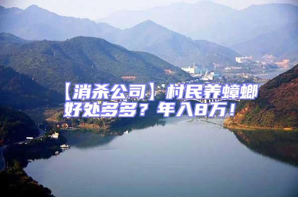 【消殺公司】村民養(yǎng)蟑螂好處多多?年入8萬(wàn)!