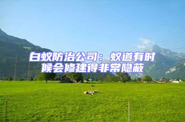 白蟻防治公司:蟻道有時(shí)候會(huì)修建得非常隱蔽