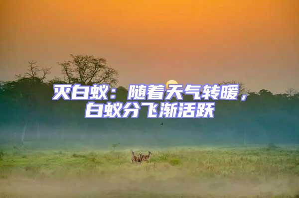 滅白蟻:隨著天氣轉暖,白蟻分飛漸活躍