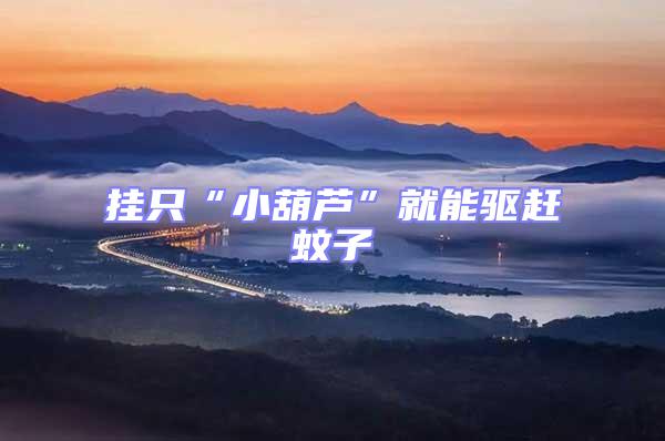 掛只“小葫蘆”就能驅趕蚊子