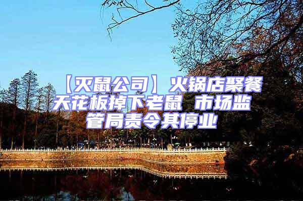 【滅鼠公司】火鍋店聚餐天花板掉下老鼠 市場監管局責令其停業