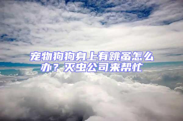 寵物狗狗身上有跳蚤怎么辦？滅蟲公司來幫忙