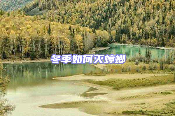 冬季如何滅蟑螂