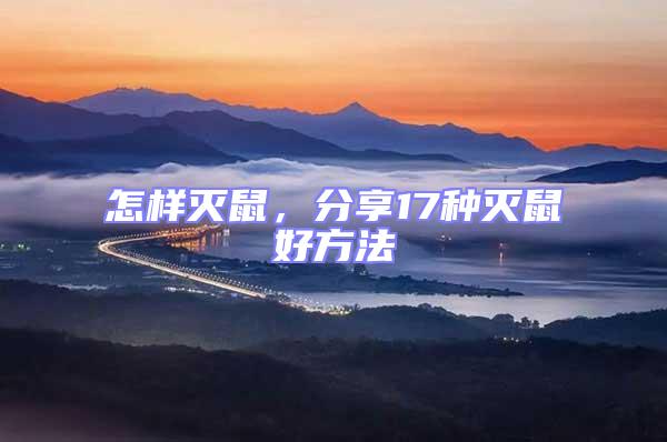 怎樣滅鼠,分享17種滅鼠好方法