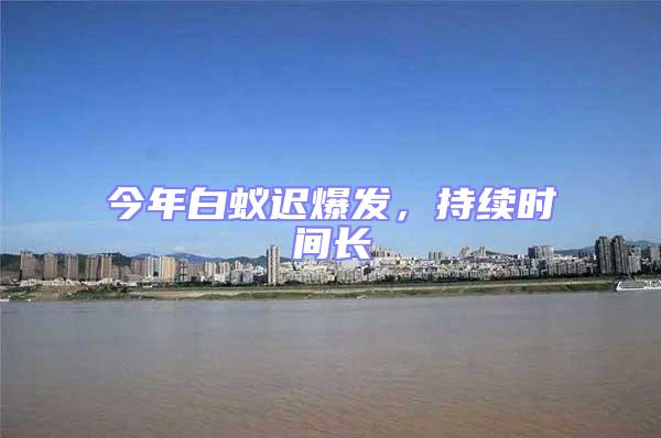 今年白蟻遲爆發，持續時間長