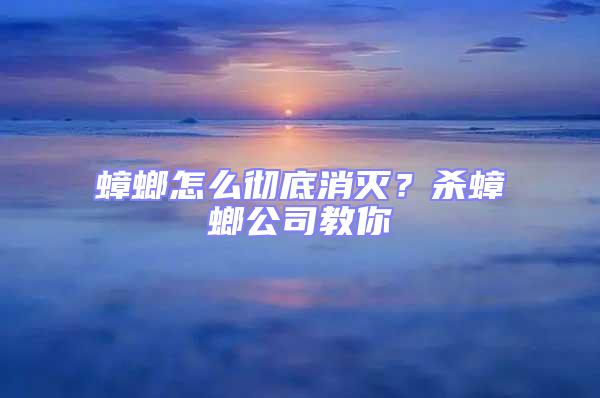 蟑螂怎么徹底消滅?殺蟑螂公司教你