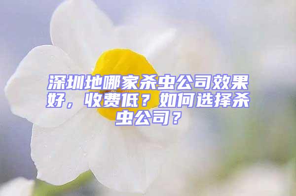深圳地哪家殺蟲公司效果好，收費低？如何選擇殺蟲公司？