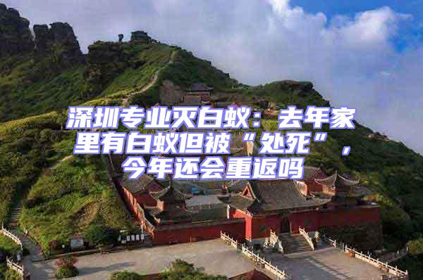 深圳專業(yè)滅白蟻：去年家里有白蟻但被“處死”，今年還會(huì)重返嗎
