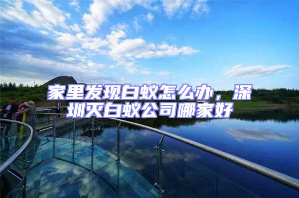 家里發現白蟻怎么辦,深圳滅白蟻公司哪家好