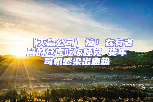 【滅鼠公司】驚!在有老鼠的倉庫吃飯睡覺 貨車司機感染出血熱