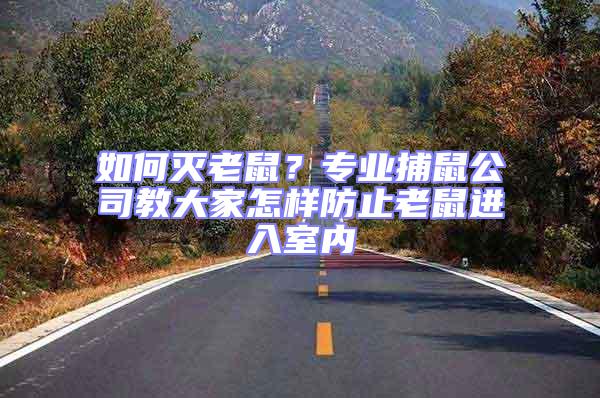 如何滅老鼠?專業捕鼠公司教大家怎樣防止老鼠進入室內