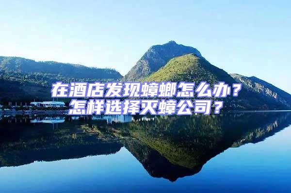 在酒店發(fā)現(xiàn)蟑螂怎么辦?怎樣選擇滅蟑公司?