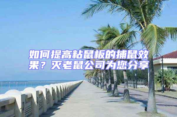 如何提高粘鼠板的捕鼠效果？滅老鼠公司為您分享