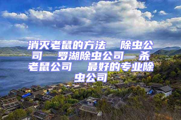 消滅老鼠的方法 除蟲公司 羅湖除蟲公司 殺老鼠公司 最好的專業(yè)除蟲公司