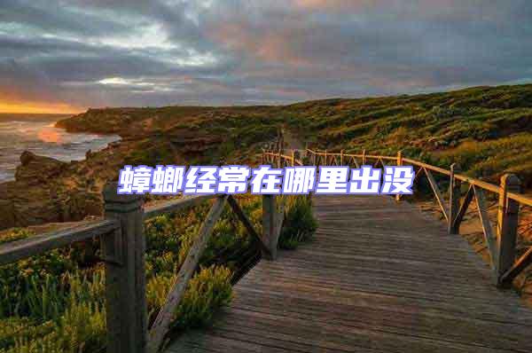 蟑螂經常在哪里出沒