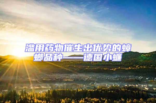 濫用藥物催生出優(yōu)勢(shì)的蟑螂品種——德國小蠊