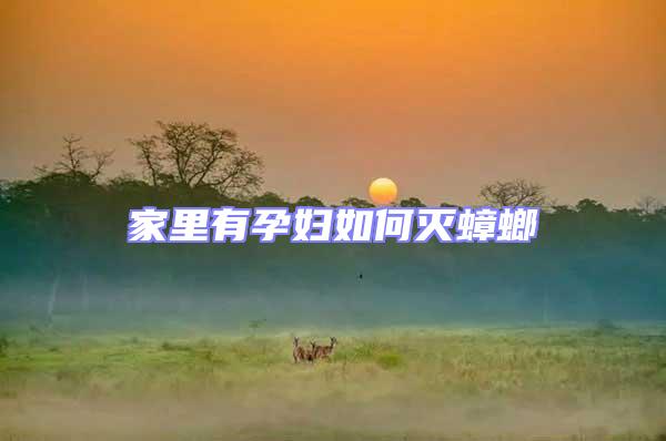 家里有孕婦如何滅蟑螂