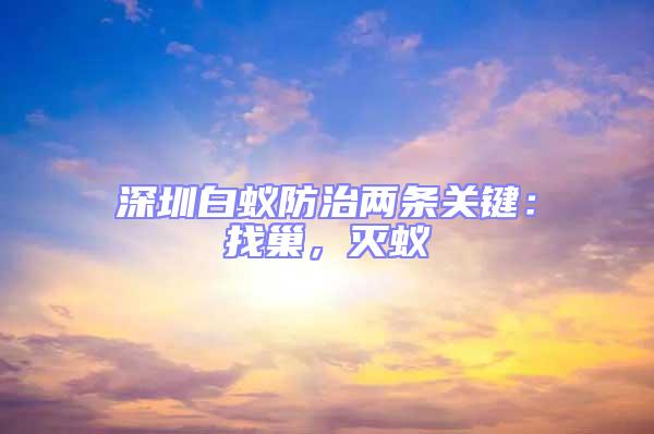 深圳白蟻防治兩條關鍵：找巢，滅蟻