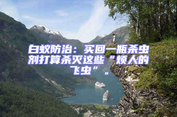 白蟻防治:買回一瓶殺蟲劑打算殺滅這些“煩人的飛蟲”。