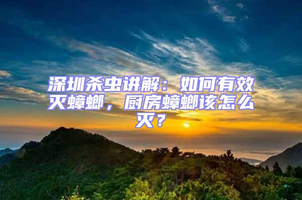深圳殺蟲講解：如何有效滅蟑螂，廚房蟑螂該怎么滅？