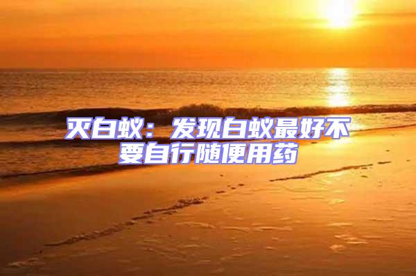 滅白蟻:發現白蟻最好不要自行隨便用藥